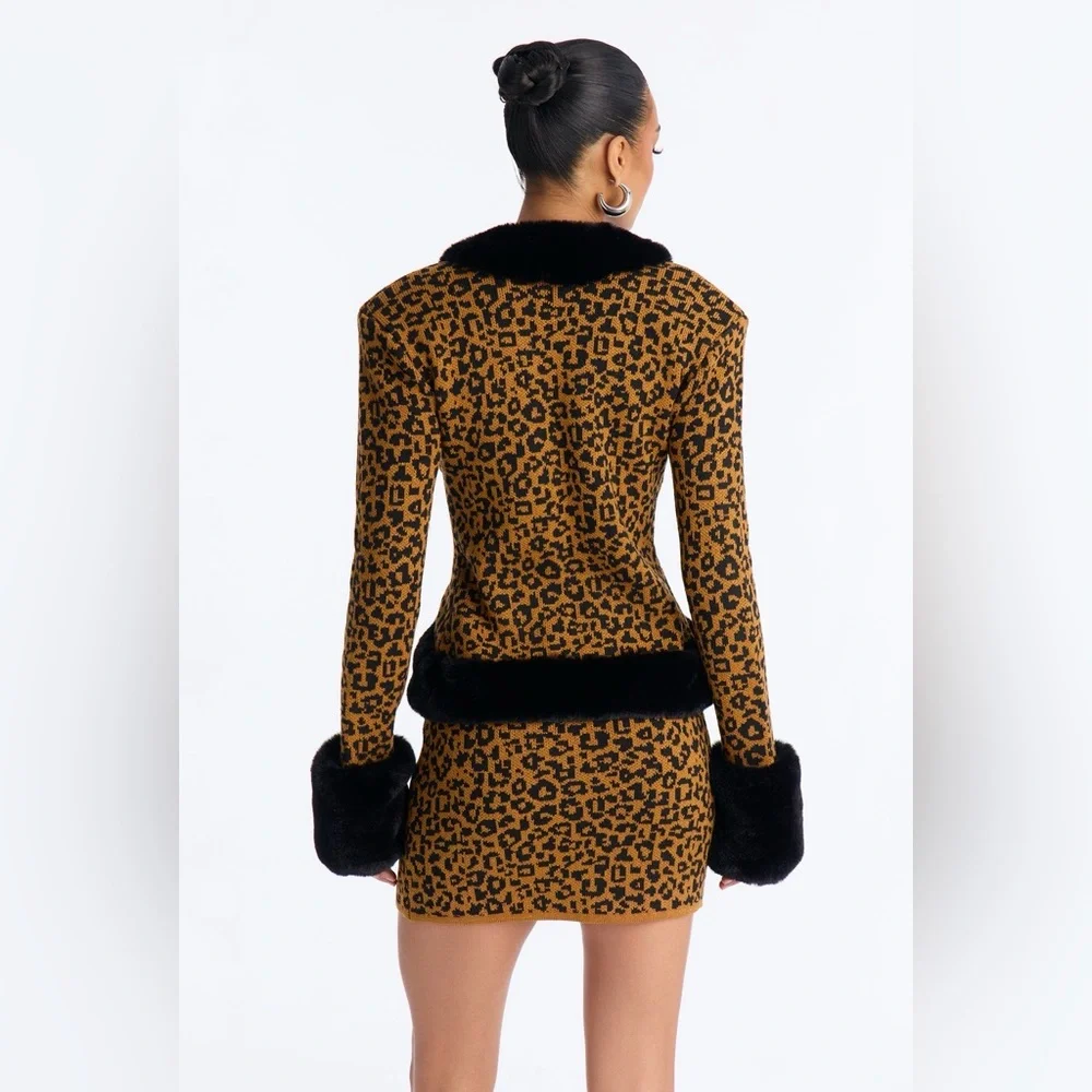 Fashion Nova Leopard Print Skirt Set